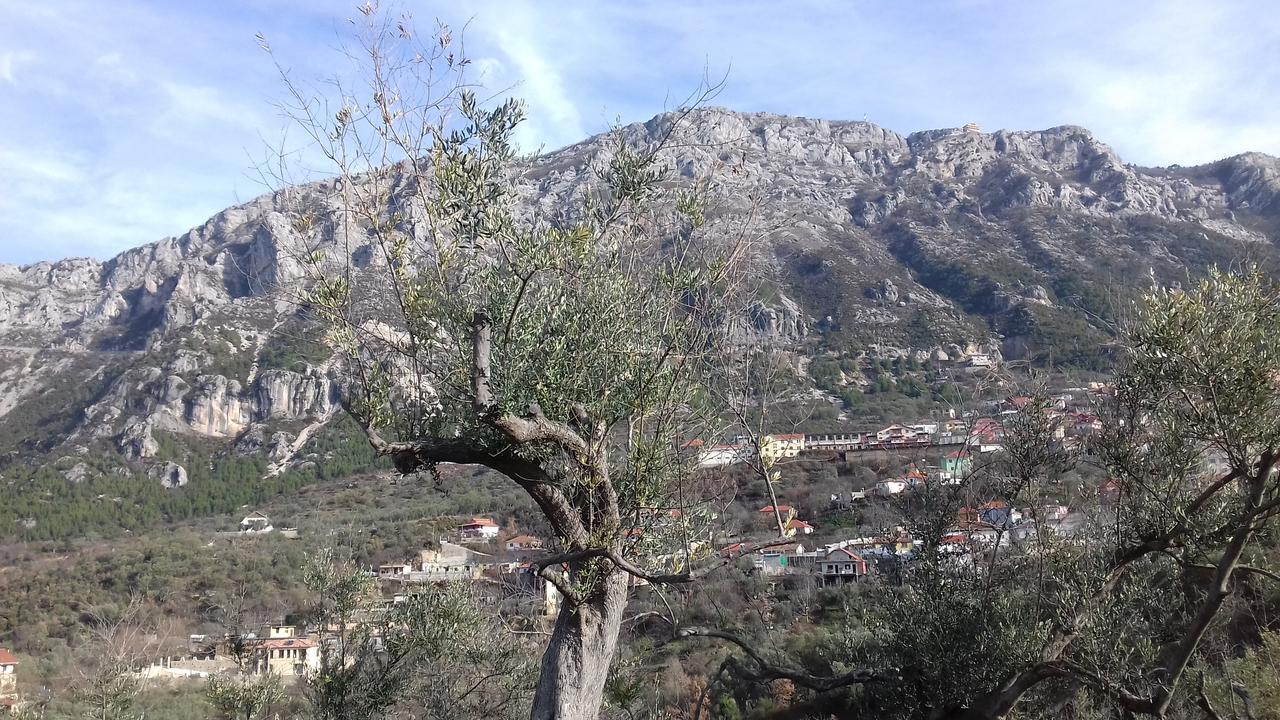 Kruja Hostel Exterior foto